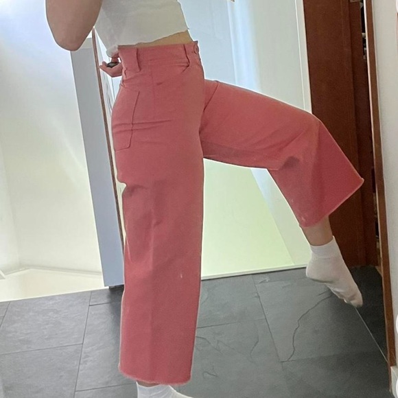 Aritzia Babaton Pink Pants - Picture 3 of 4
